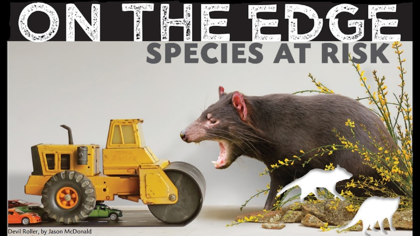 Source: RN