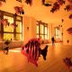 Source: Ocula