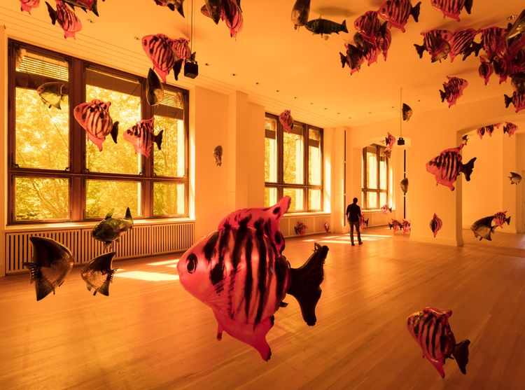 Source: Ocula