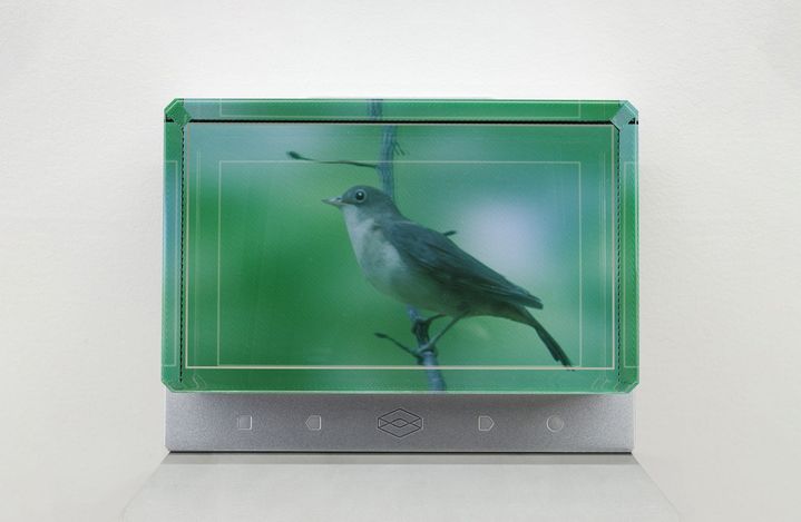 Source: Ocula