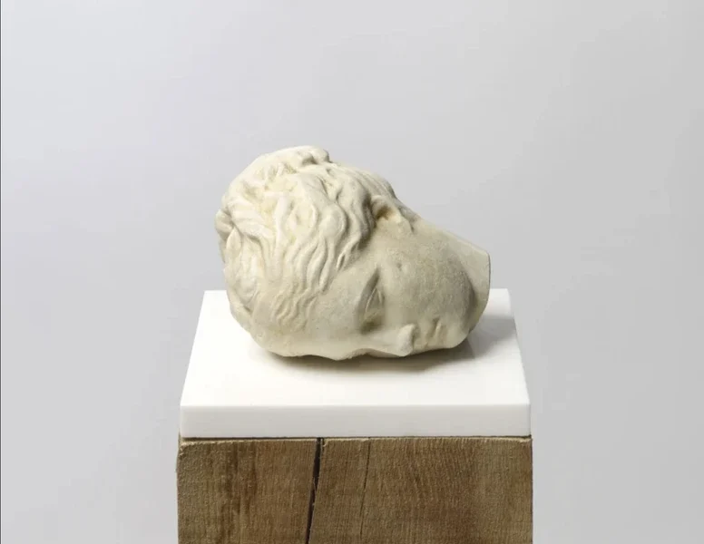 Source: New exhibitions