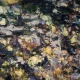 Source: New Exhibitions