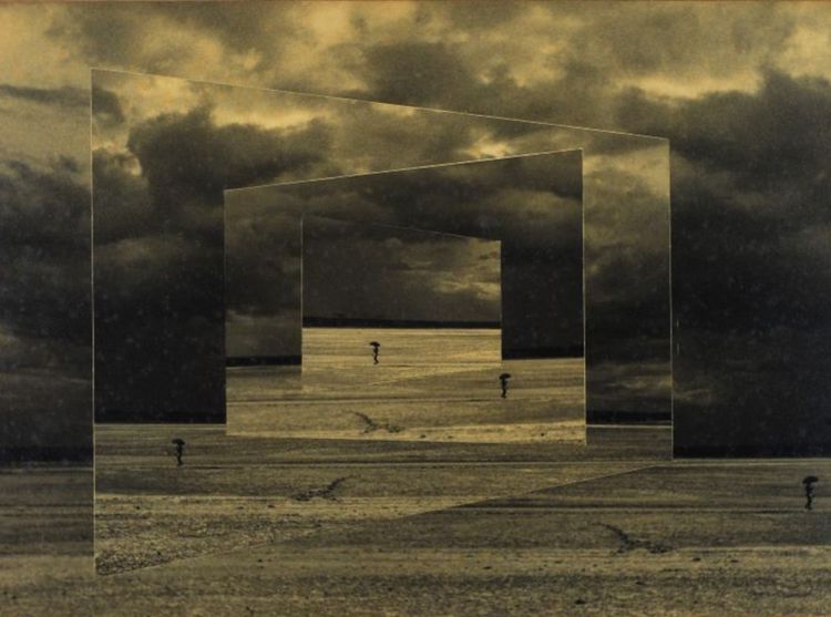 Source: Ocula