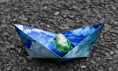 Source: New Exhibitions