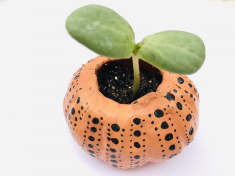 Source: SmithSonian