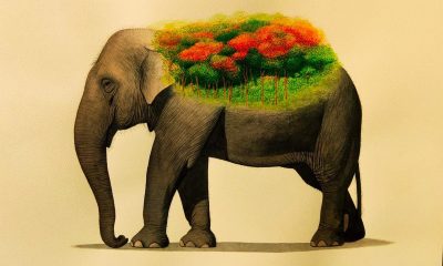 Source: The Hindu