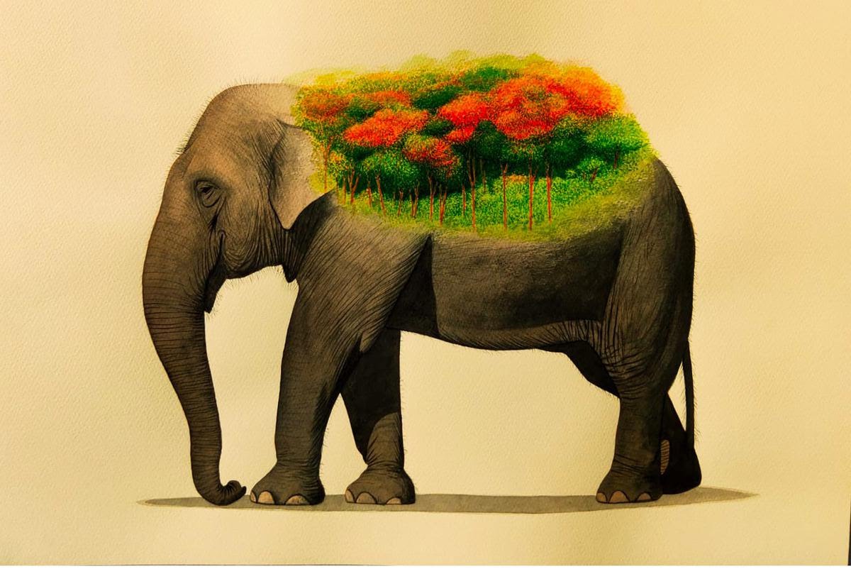Source: The Hindu