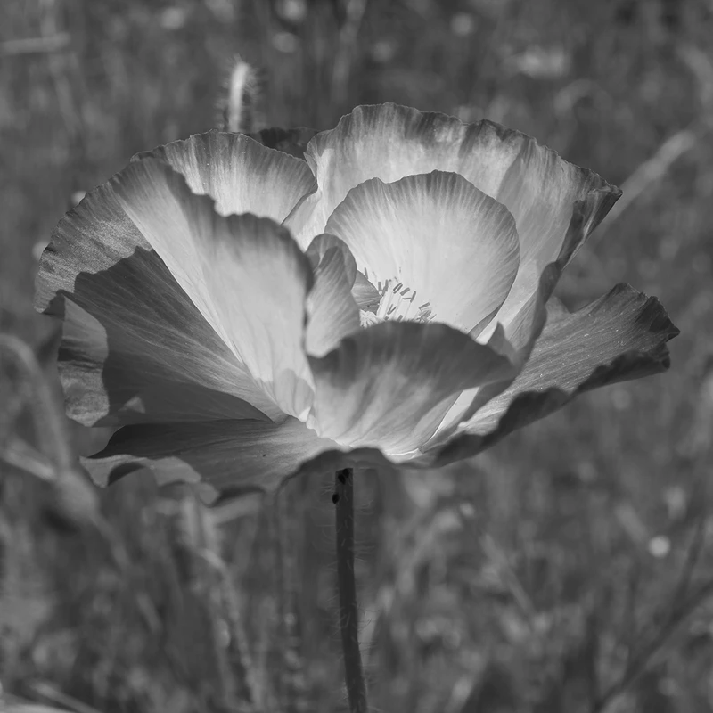 Source: New Exhibitions