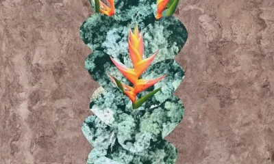 Source: New Exhibitions