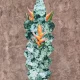 Source: New Exhibitions