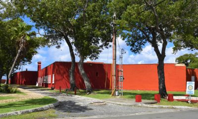 Source: The Virgin Islands Consortium