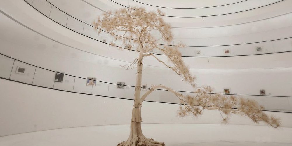 Source: Ocula