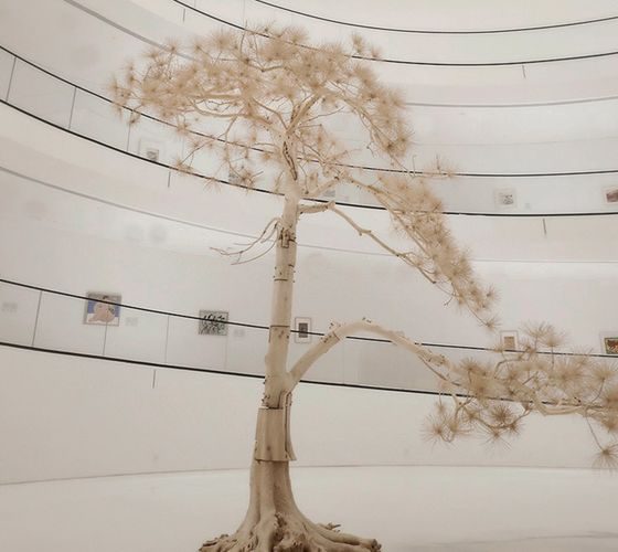Source: Ocula