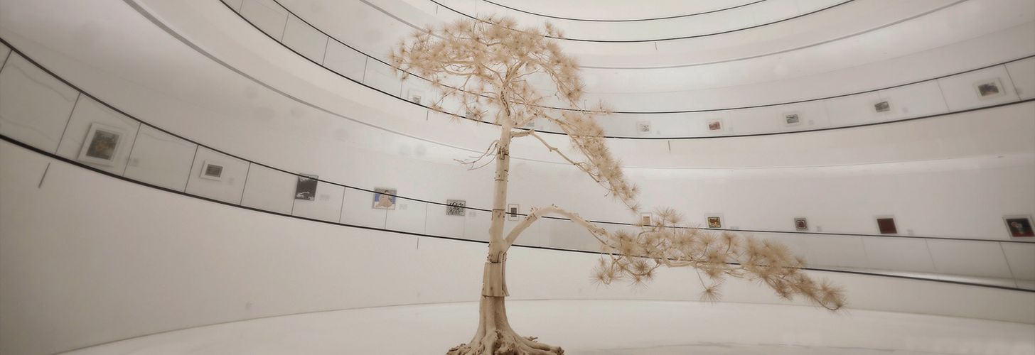 Source: Ocula