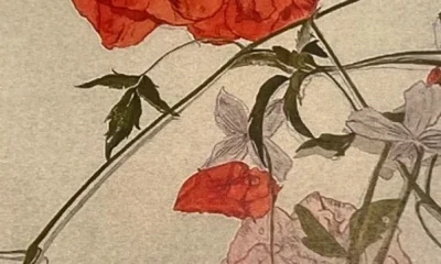 Source: New exhibitions